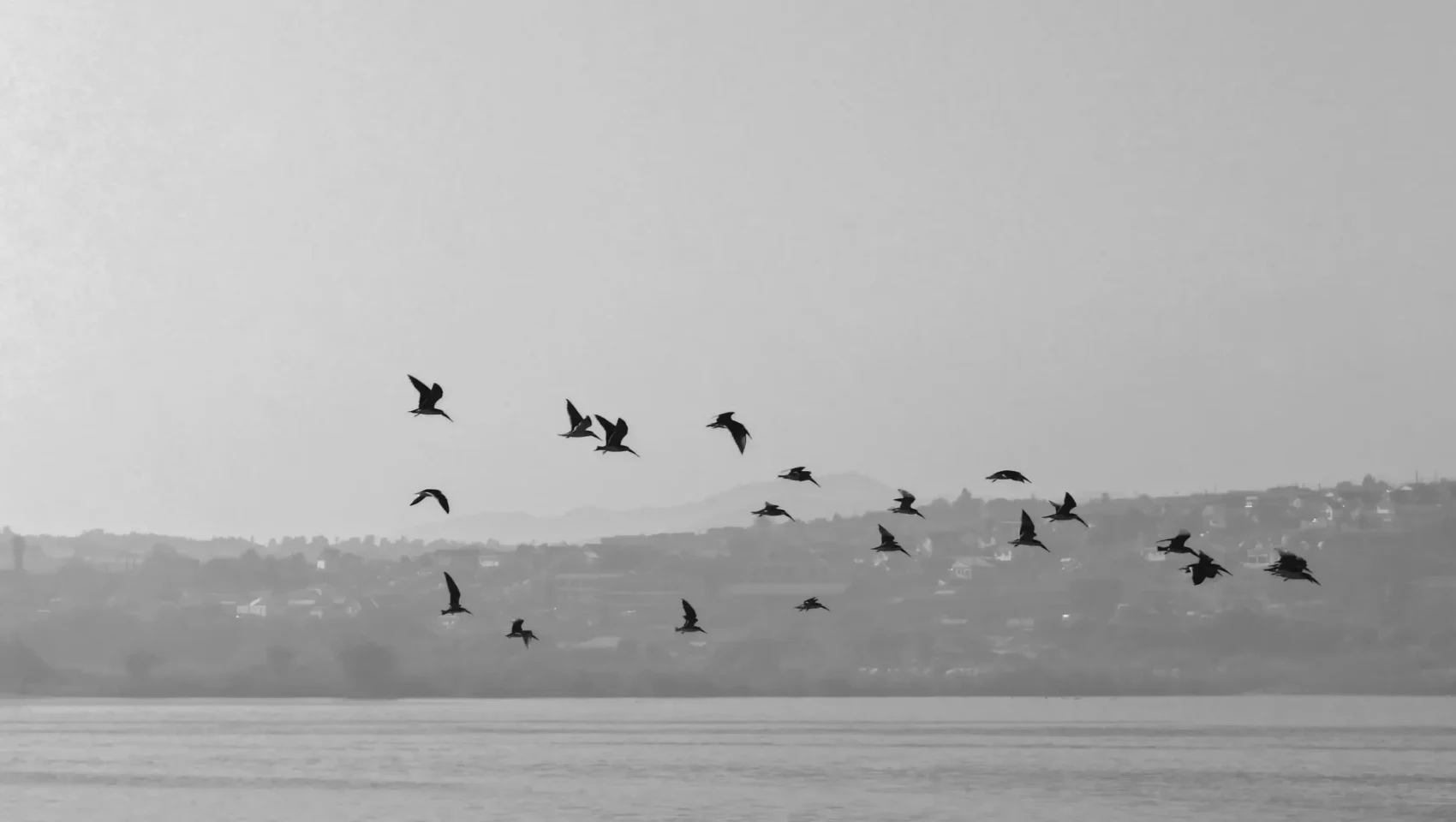 esteban-amaro-hy8y0Wp_Lp0-unsplash