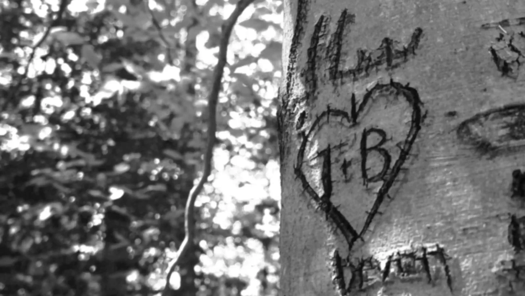 wade-winslow-fnGOd5qcTUs-unsplash copy